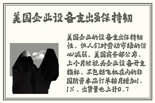 **视频网站